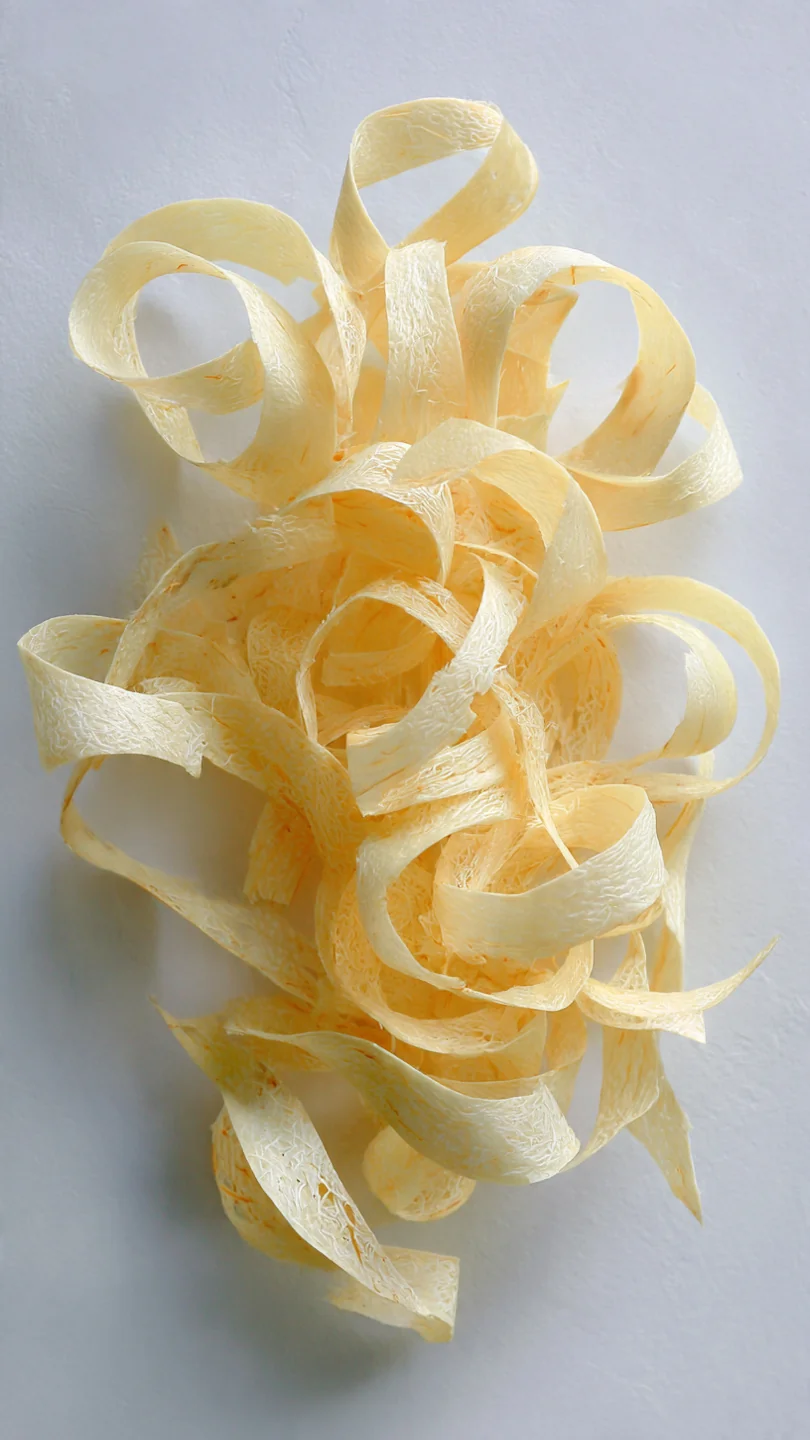 Crunchy Parsnip Ribbons - Image 1